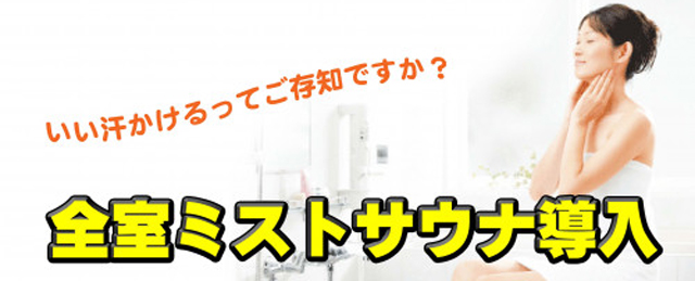 ミストサウナ導入はこちら